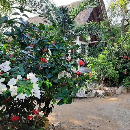 Hotel Esencial Tulum Zewnętrze zdjęcie