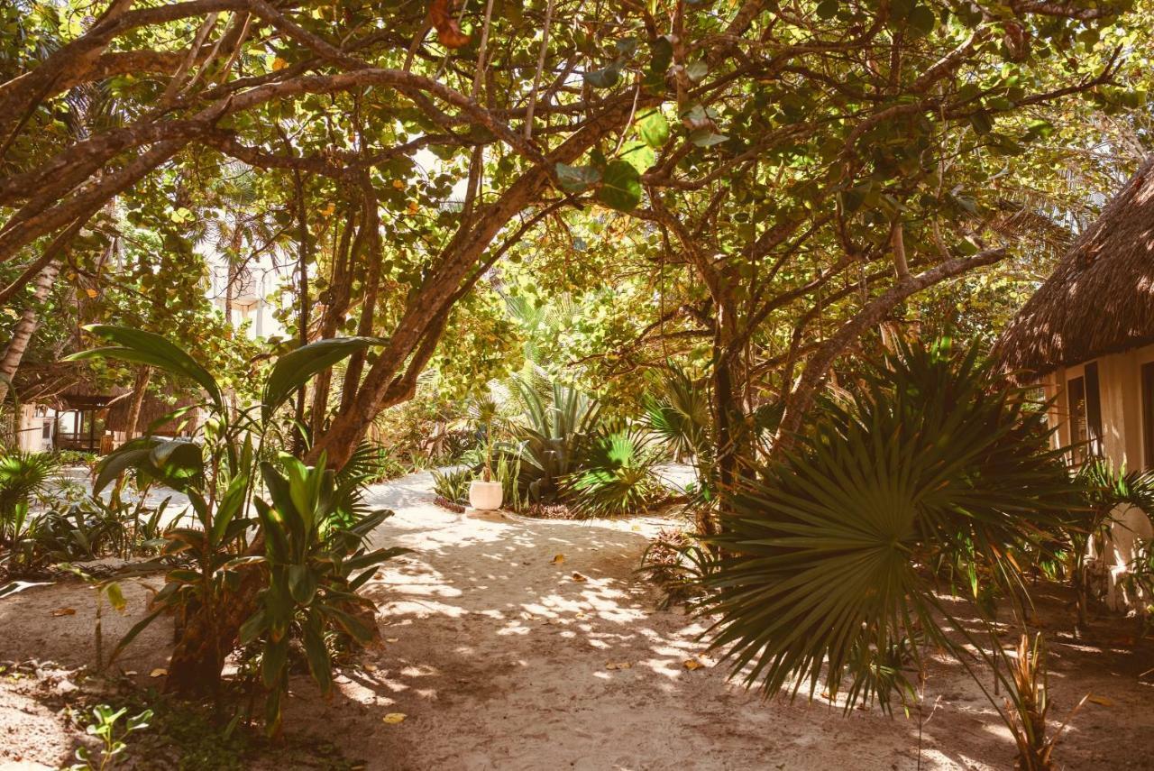 Hotel Esencial Tulum Zewnętrze zdjęcie